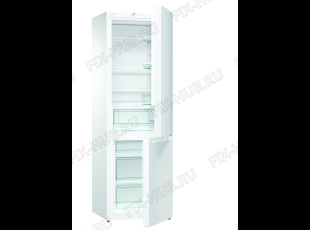 Холодильник Gorenje RK62PW4 (730948, HZS3369) - Фото